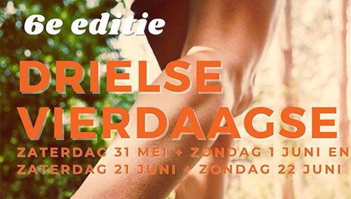 Drielse vierdaagse