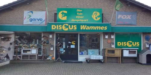 Discus Wammes