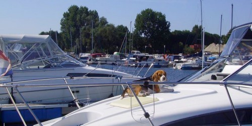 Jachthaven Marina Kerkdriel